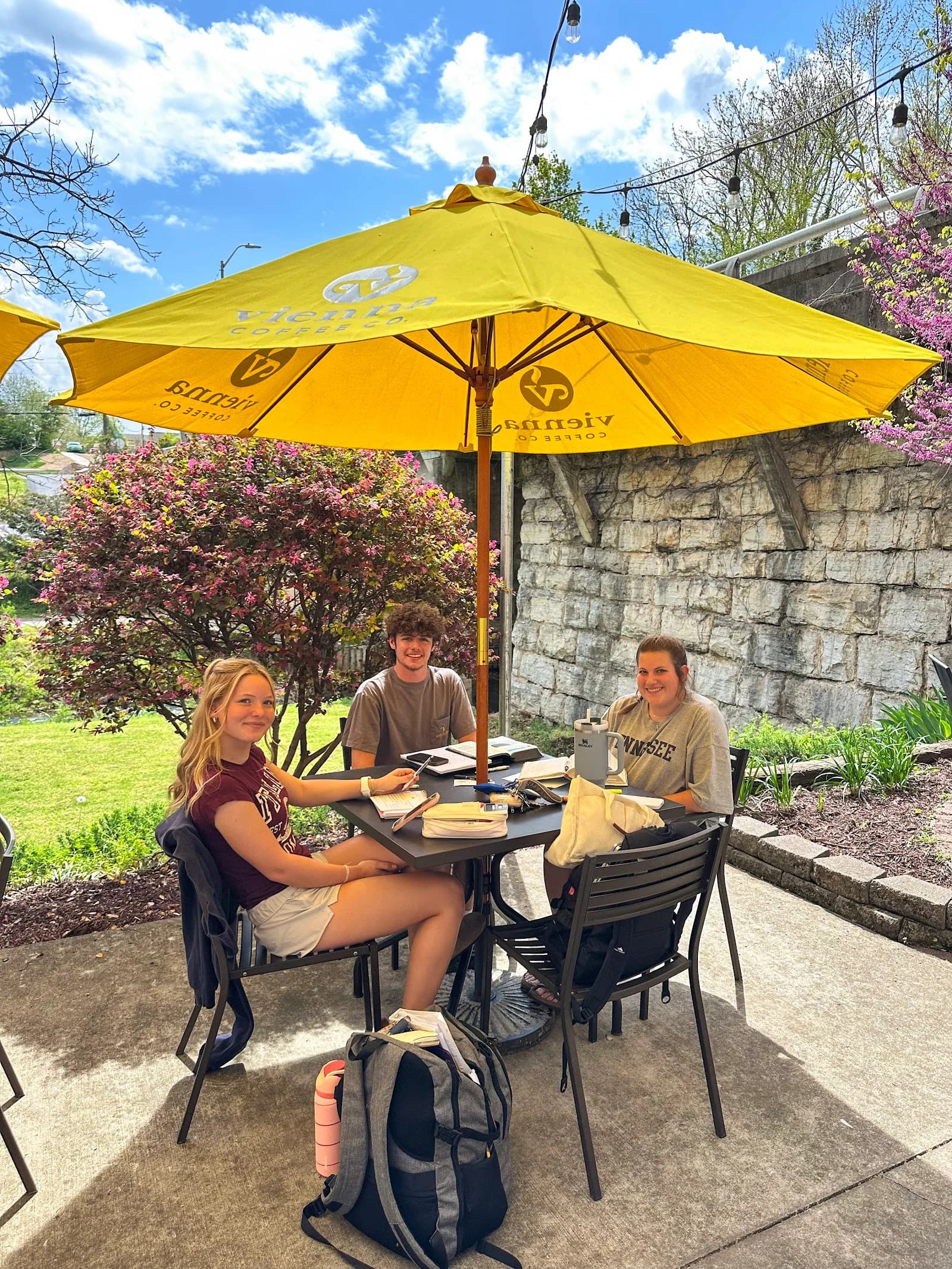 Vienna Coffee Company, LLC in Maryville, specialty coffee cafe