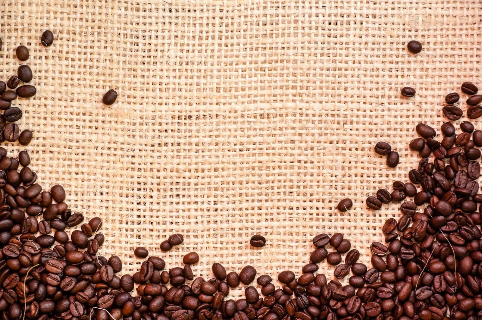 Vista Clara Coffee in Snohomish, specialty coffee roaster