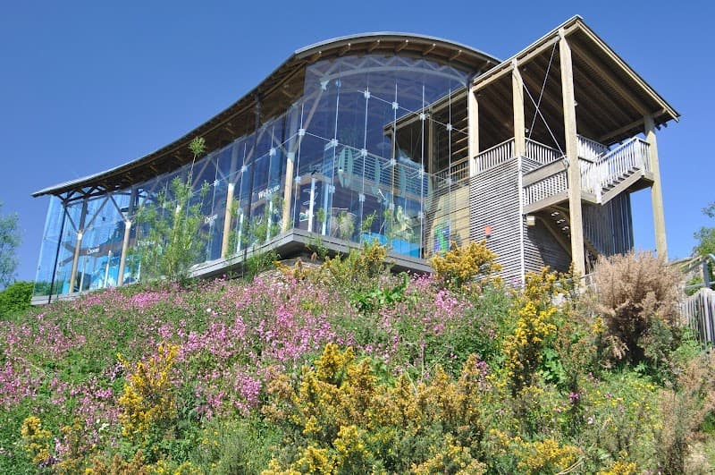 Welsh Wildlife Centre in Cardigan, specialty coffee cafe
