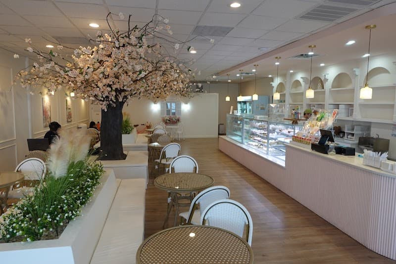 Whipped Bakery & Cafe in Austin, specialty coffee cafe