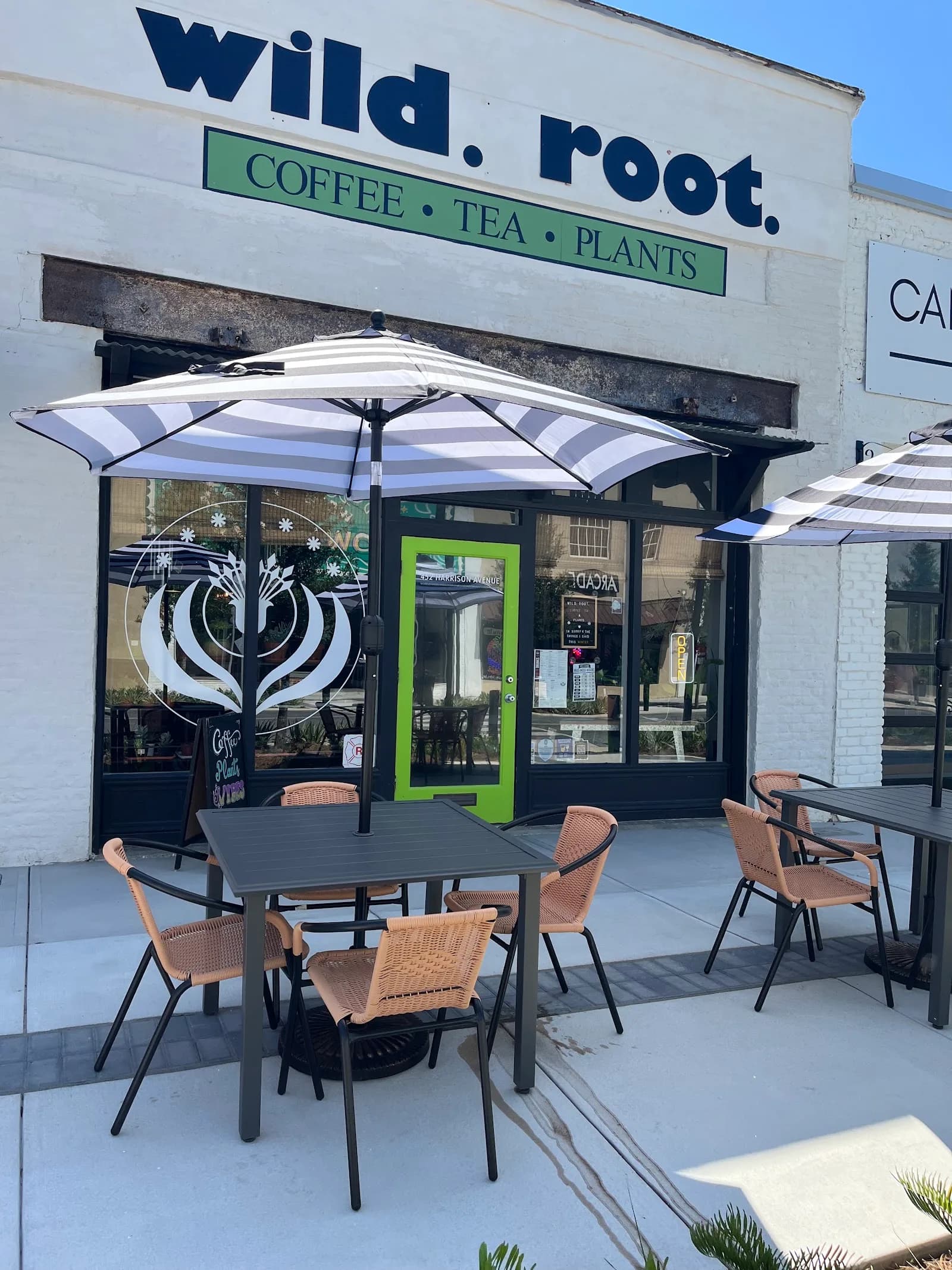 Wild Root Coffee & Tea in Panama City, specialty coffee cafe