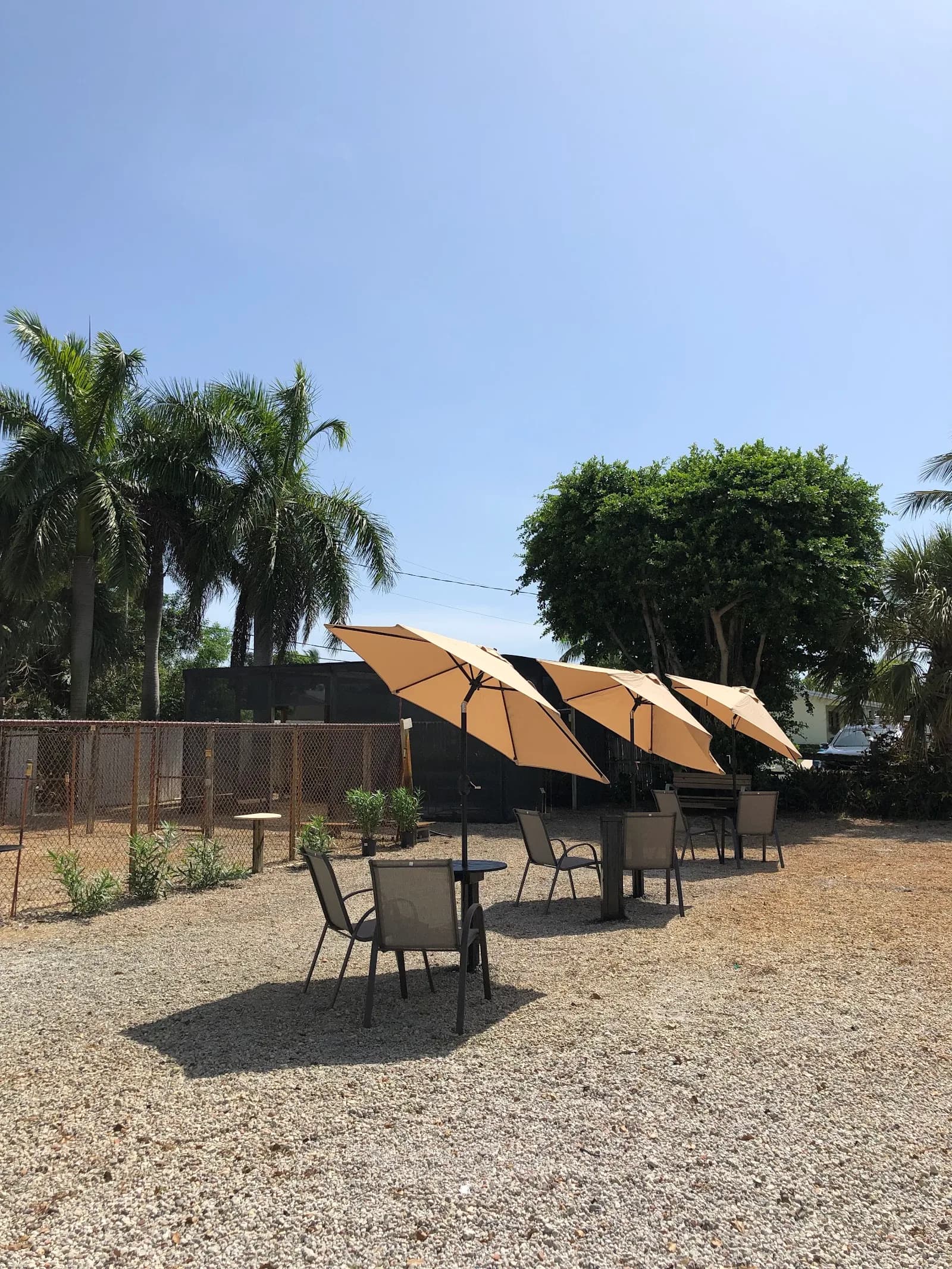 WILLY Cafe & Market in Miami, specialty coffee cafe
