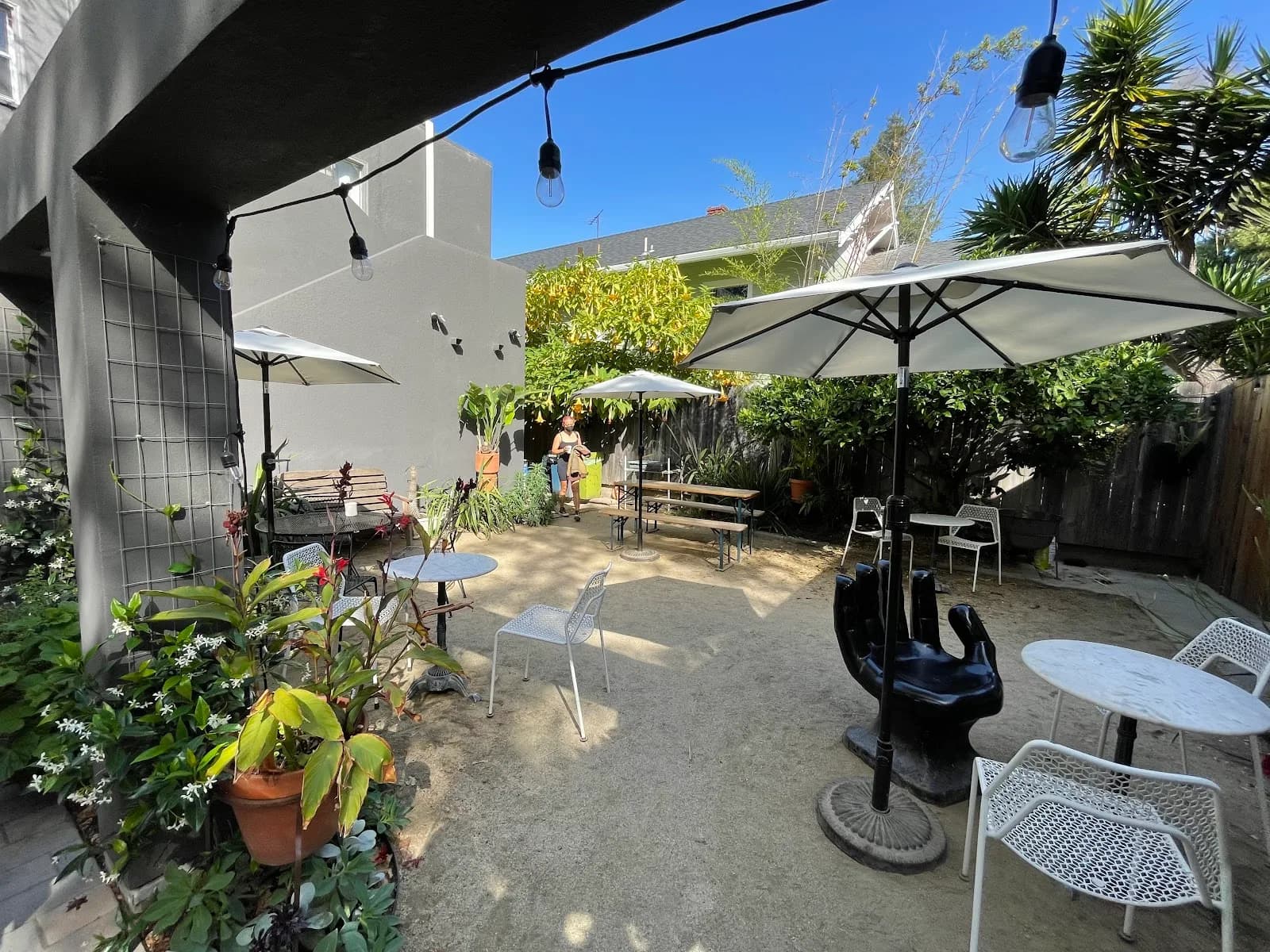 Xochi the Dog, Cafe in San Francisco, specialty coffee cafe