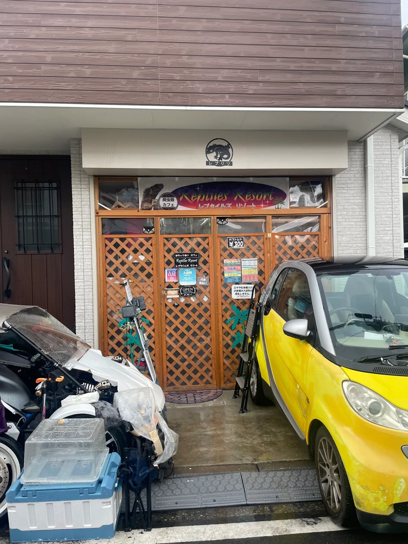 横浜 爬虫類カフェレプタイルズリゾート in Yokohama, specialty coffee cafe