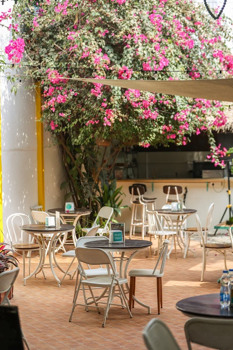Zoey's: Good Vibes Only in Bangalore, specialty coffee cafe